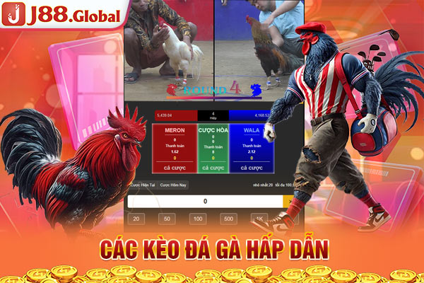 Các kèo đá gà hấp dẫn